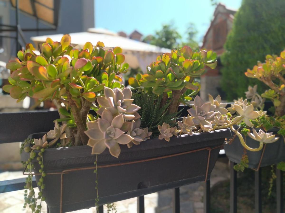 The House Apartments & Guest Rooms Ohrid Exterior foto